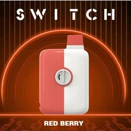 Mr.Fog Switch 5500 Puffs Red Berry