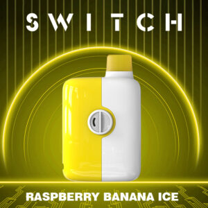 Mr.Fog Switch 5500 Puffs Raspberry Banana  Ice