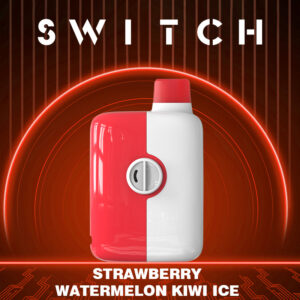 Mr.Fog Switch 5500 Puffs Strawberry Watermelon Kiwi Ice