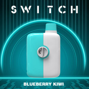 Mr.Fog Switch 5500 Puffs Blueberry Kiwi