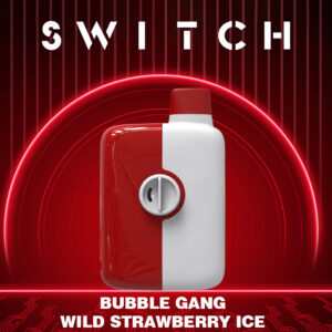 Mr.Fog Switch 5500 Puffs Bubble Gang Wild Strawberry Ice