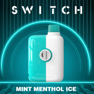 Mr.Fog Switch 5500 Puffs Mint Menthol  Ice