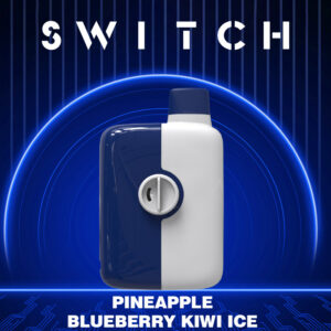 Mr.Fog Switch 5500 Puffs Pineapple Blueberry Kiwi Ice